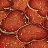 Kulen